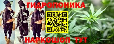 крисы Тула