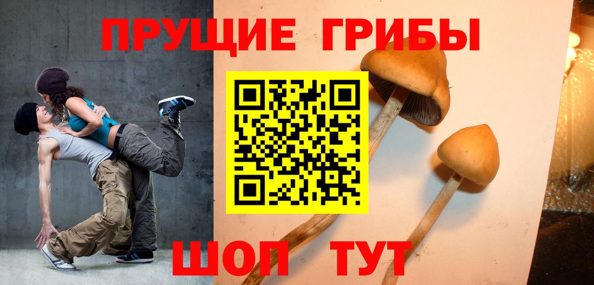 Галлюциногенные грибы Psilocybe  Псилоцибиновые грибы Psilocybine cubensis  закладка  Вход с VPN  Вольск 